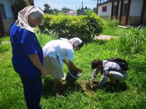 Sor Ileana y Sor Susana (hijas de la Caridad) en la siembra del ateje de costa (Cordia laevigata), junto a la residencia de las hermanas en el Centro Psicopedagógico La Edad de Oro.
