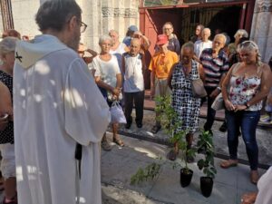 Bendición de la peregrina (Jatropha tupifolia) sembrada en la entrada de la parroquia de nuestra señora de la medalla milagrosa en Santos Suárez.